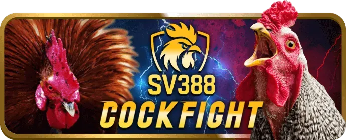 Dịch vụ hỗ trợ khách hàng 24/7 của cubet code